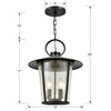 Crystorama Andover Outdoor Chandelier