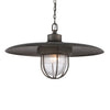 Troy Lighting Acme Pendant