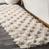 Decatur Machine Made Shag Rug