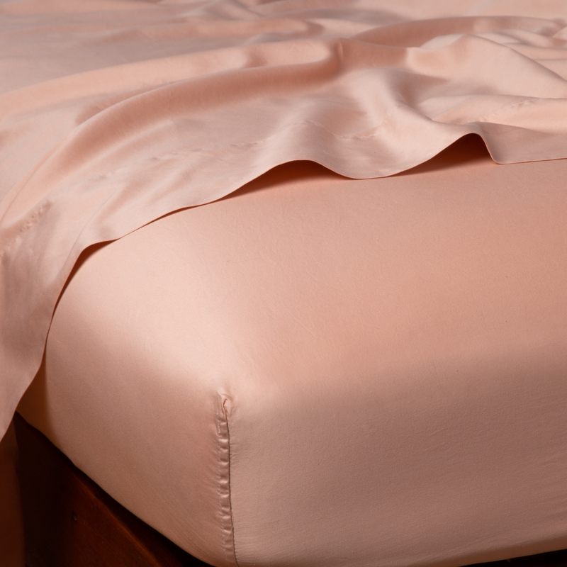 Bella Notte Bria Fitted Sheet