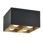 Troy Felix Flush Ceiling Mount - Final Sale