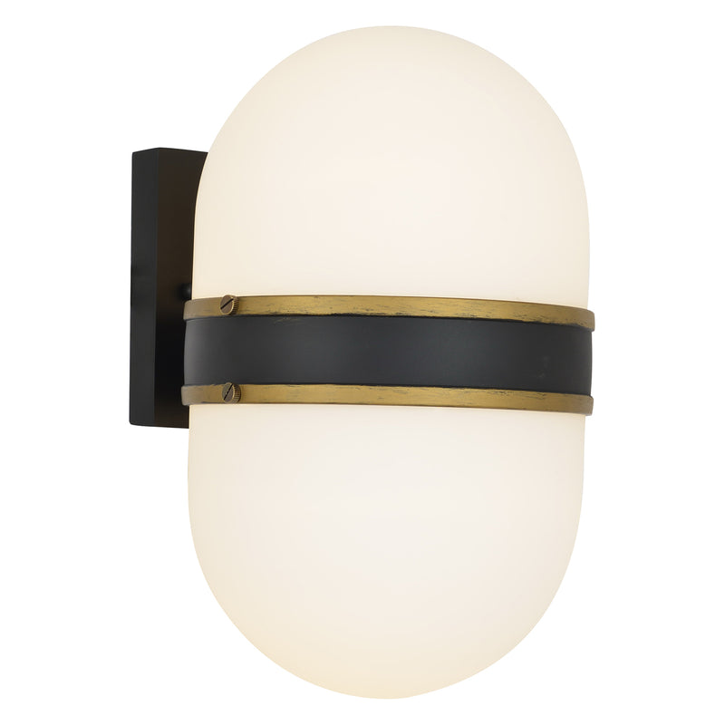 Brian Patrick Flynn For Crystorama Capsule Outdoor Wall Sconce