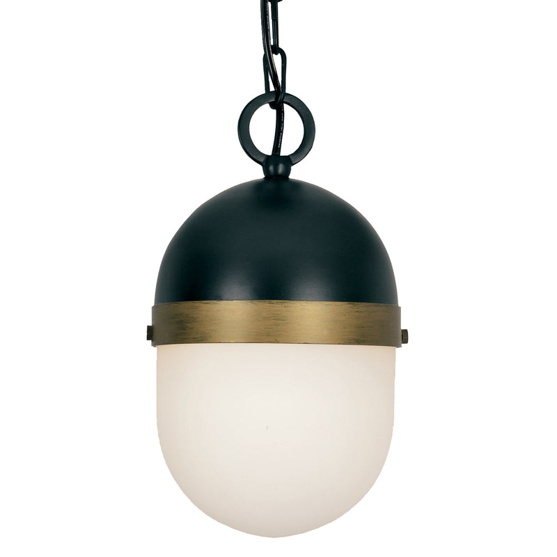 Brian Patrick Flynn For Crystorama Capsule Outdoor Pendant