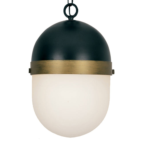 Brian Patrick Flynn For Crystorama Capsule Outdoor Pendant