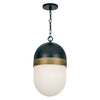 Brian Patrick Flynn For Crystorama Capsule 3-Light Outdoor Pendant