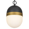 Brian Patrick Flynn For Crystorama Capsule Outdoor Pendant