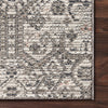 Loloi Cole Ivory Indoor/Outdoor Rug