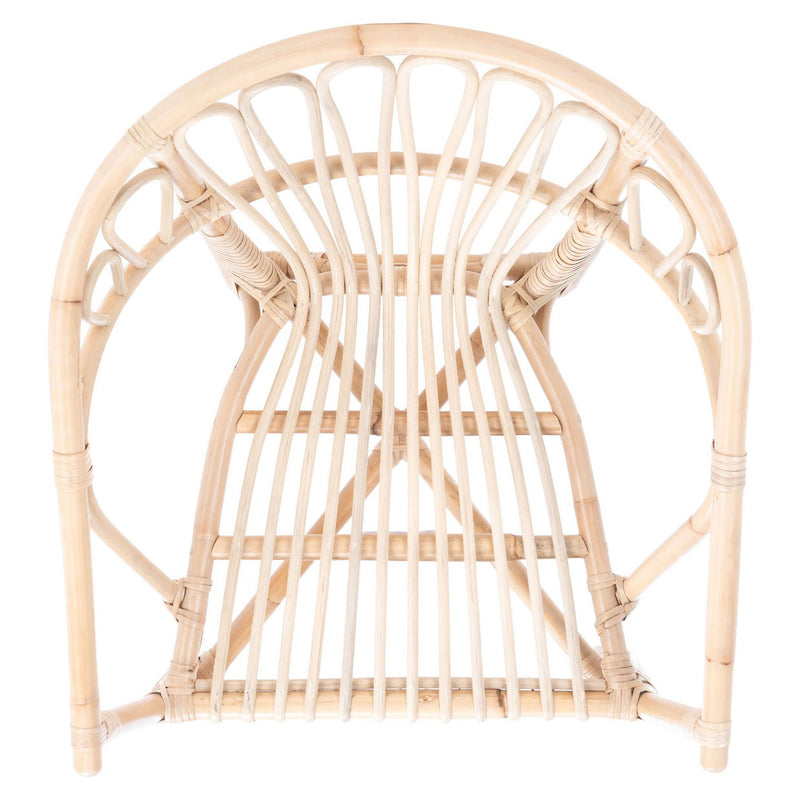 Parkville Rattan Dining Chair