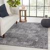 Vibe by Jaipur Living Emrys Zillah Power Loomed Rug