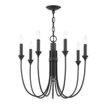 Troy Cate Chandelier