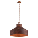 Troy Lighting Rise & Shine Pendant