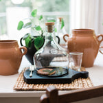 Etu Home Demijohn Cloche