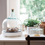 Etu Home Demijohn Cloche