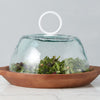 Etu Home Bianca Glass Dome