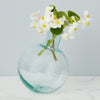 Etu Home Clear Sphere Bud Vase Set of 2