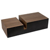 Noir Nido Coffee Table