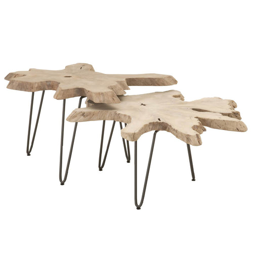 Drift Nesting Coffee Table Set of 2