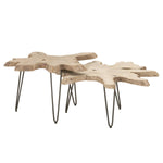 Drift Nesting Coffee Table Set of 2