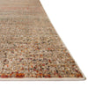 Loloi Javari Distressed Power Loomed Rug