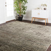 Loloi Javari Charcoal/Silver Power Loomed Rug