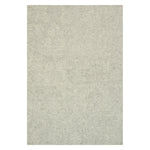 Loloi Lyle Mist Hooked Rug