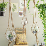 Kearney Glass Hanging Planter