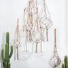 Kearney Glass Hanging Planter