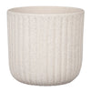 Paxon Ribbed Planter