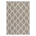 Trellis Indoor/Outdoor Rug