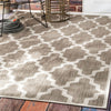 Trellis Indoor/Outdoor Rug