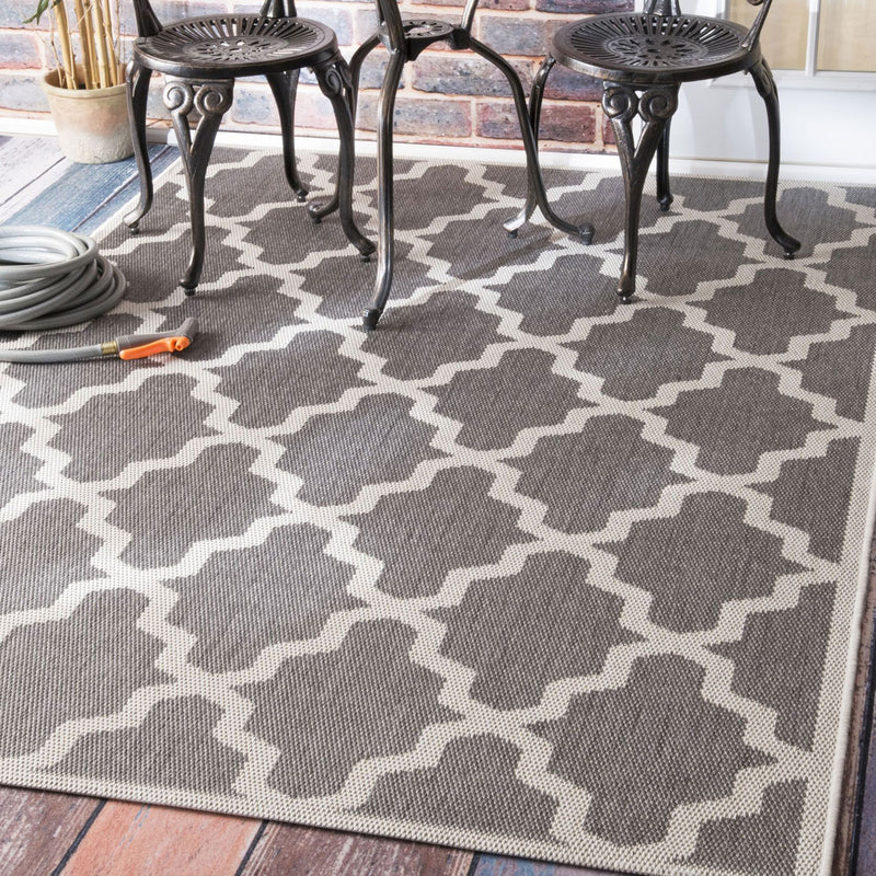 Trellis Indoor/Outdoor Rug