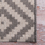 Modoc Indoor/Outdoor Rug