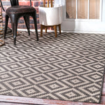 Modoc Indoor/Outdoor Rug