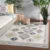 Jaipur Living Polaris Dez Indoor/Outdoor Rug