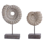 Kole Ammonite Table Accent Set of 2