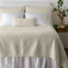 Bella Notte Silk Velvet Quilted Coverlet