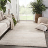 Jaipur Living Trendier Minuit Hand Woven Rug