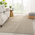 Jaipur Living Tioman Chael Natural Rug