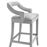 TOV Furniture Tiffany Velvet Counter Stool