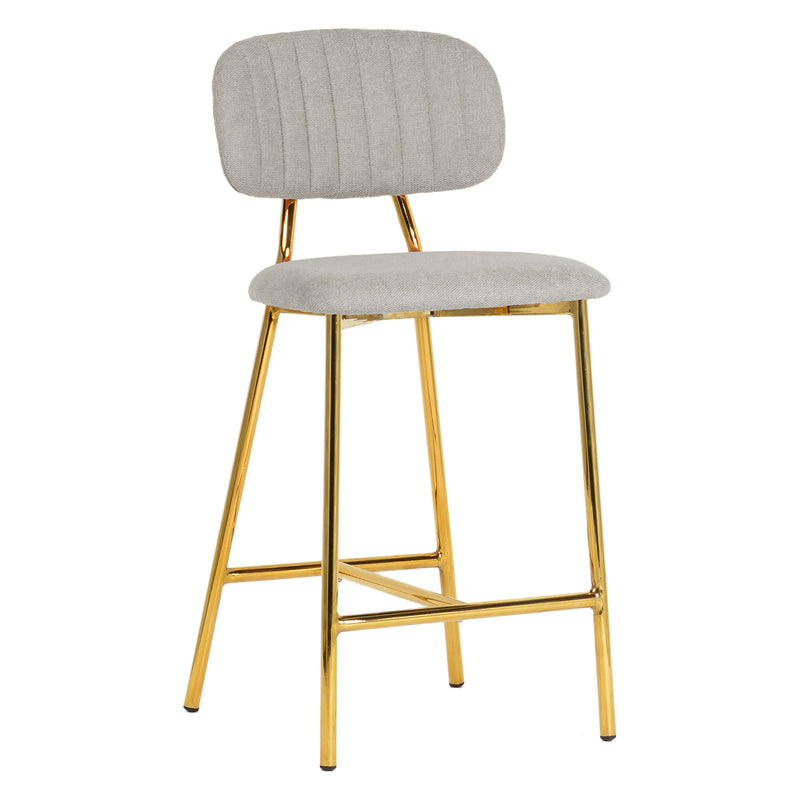 TOV Furniture Ariana Counter Stool Set of 2