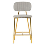 TOV Furniture Ariana Counter Stool Set of 2