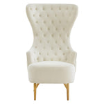 TOV Furniture Jezebel Velvet Wingback Chair