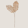 Planta III Leaf Decor