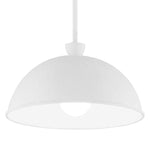 Troy Lighting Tygo Pendant - Final Sale