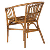 Hickey Rattan Accent Chair Set of 2