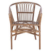 Hickey Rattan Accent Chair Set of 2