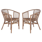 Hickey Rattan Accent Chair Set of 2