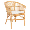 Lugo Rattan Accent Chair