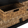 Tempe Basket Storage Chest