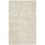 Surya Aros Shag Rug